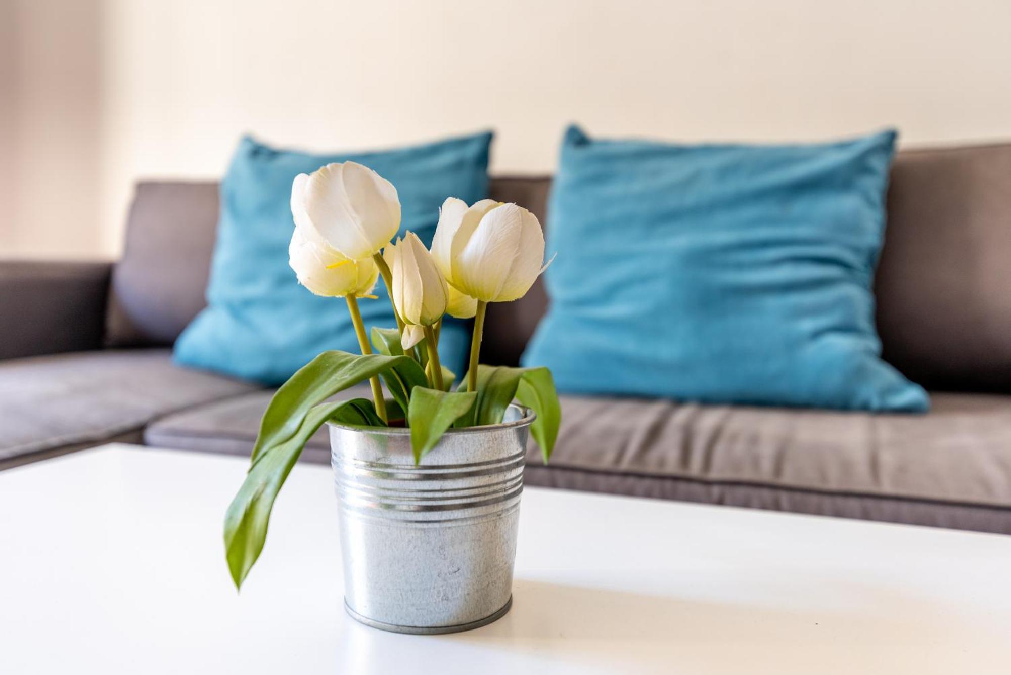 Apartamento Estudio Centro Historico